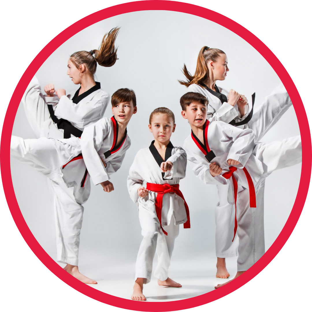 Tennessee Taekwondo Judo College